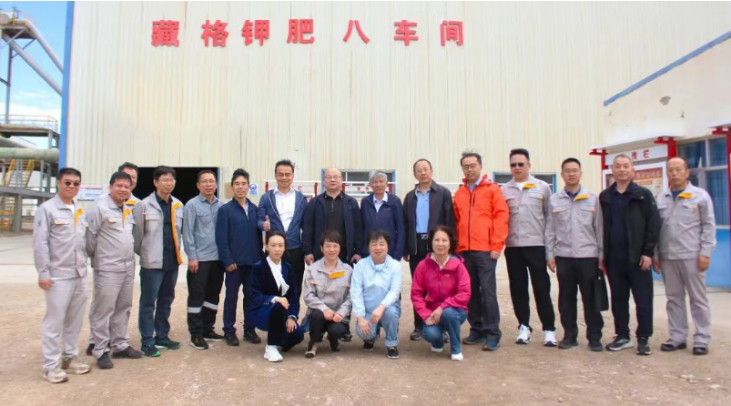 紫金矿业与九游会集团矿业独立董事发展结合调研