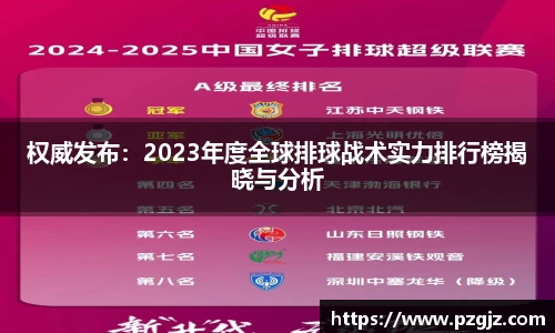 权威发布：2023年度全球排球战术实力排行榜揭晓与分析