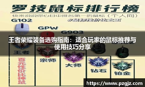 王者荣耀装备选购指南：适合玩家的鼠标推荐与使用技巧分享