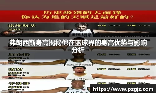 弗朗西斯身高揭秘他在篮球界的身高优势与影响分析