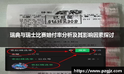 瑞典与瑞士比赛赔付率分析及其影响因素探讨